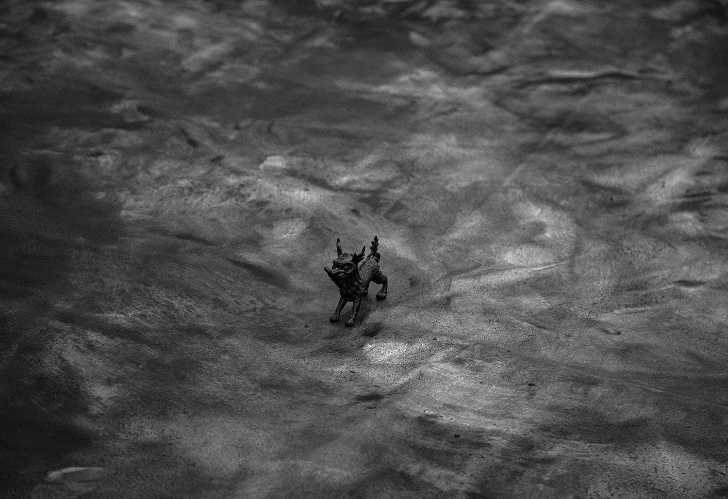 Archive images, artist's studio