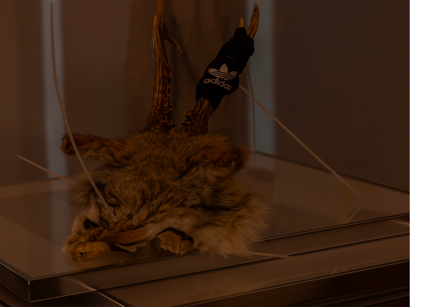 Archive images, artist's studio, Fox Mask, 2025 mixed media, deer skull, plastic dies, fox fur, 30x40x20