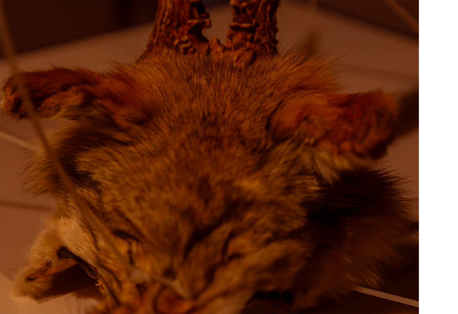 Archive images, artist's studio, Detail of sculpture.