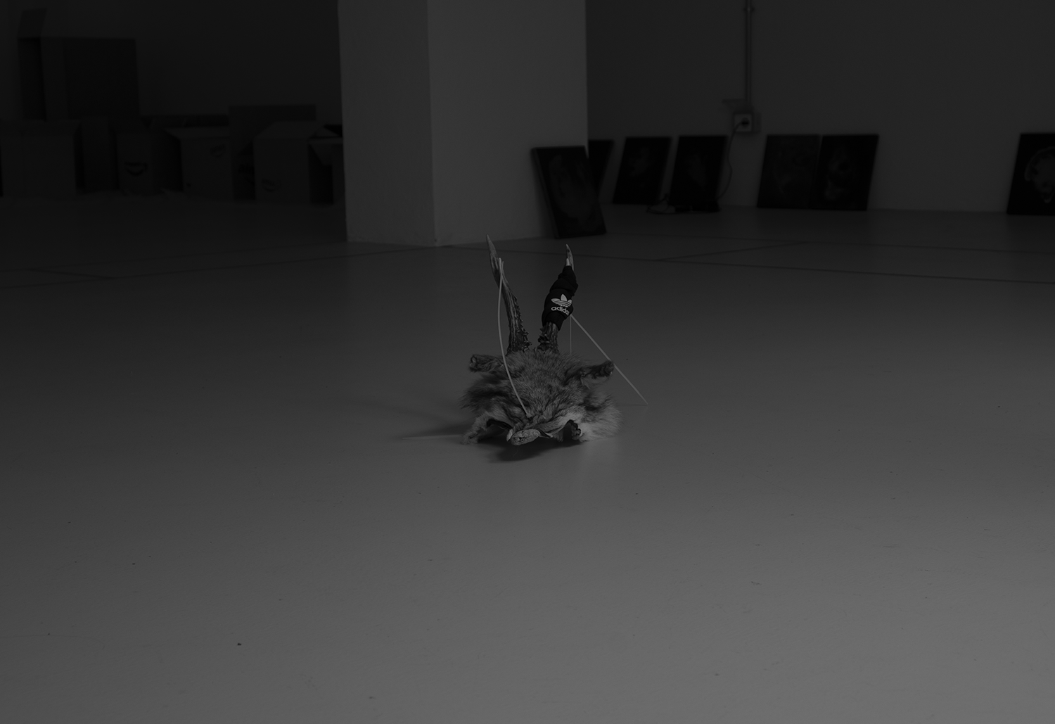 Fox Mask, 2025 mixed media, deer skull, plastic dies, fox fur, 30x40x20