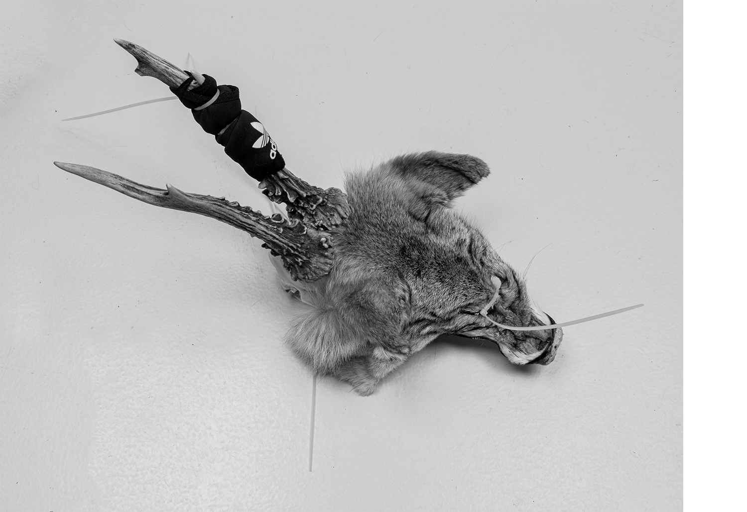 Archive images, artist's studio, 2025