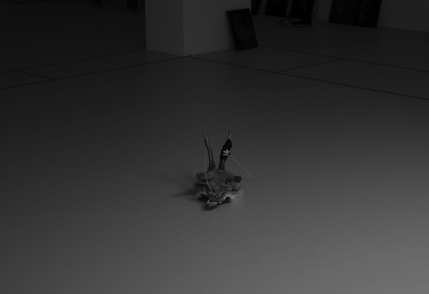 Fox Mask, 2025 mixed media, deer skull, plastic dies, fox fur, 30x40x20