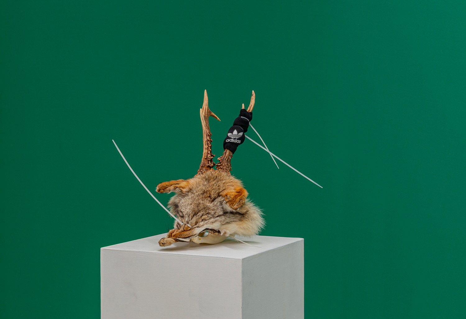 Exhibition view, ‘TILL THE COWS COME HOME’, a group show curated by MASSIMO and presented by Banquet Gallery - Idol - Fox Mask, 2025 mixed media, deer skull, plastic dies, fox fur, 30x40x20